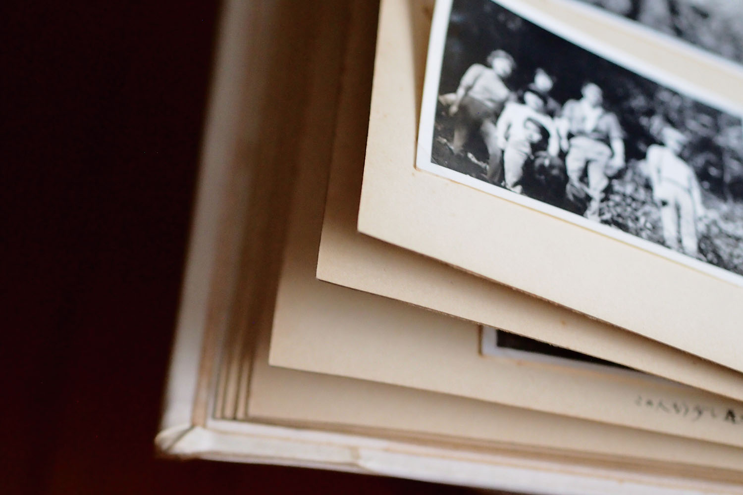 写真整理（データ化）